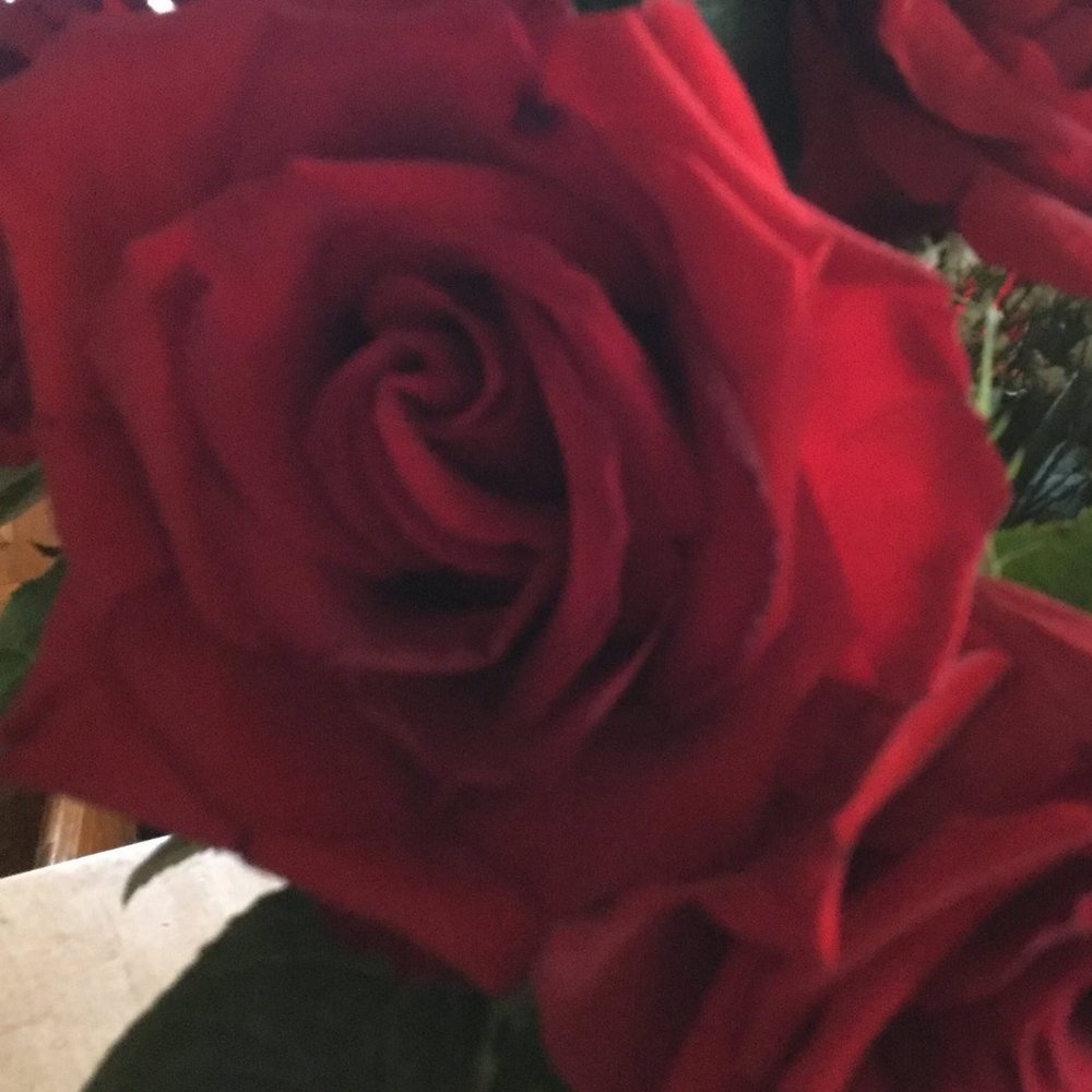 Meet your Posher, Donna